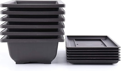 Yesland 6 Pack Bonsai Training Pots - 9 Inches Classic Deep Humidity Trays with Built in Mesh - Plastic Square Pot & Bonsai Plants Growing Pots