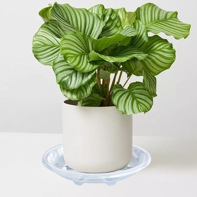 6 Pack of Plant Saucer, 6 inch Clear Plant Trays for Pots, Plant Water Catcher Tray, Plant Plate for Indoors Outdoors