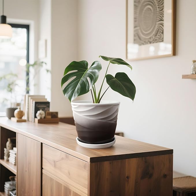 8 Inch Plant Pot,Ceramic Planter with Drainage and Saucer,Ceramic Pots for Plants,Indoor Plant pots,Ceramic Flower pots(Dark Gray+White)
