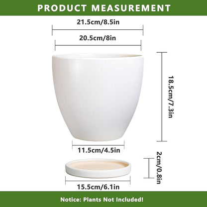 8 Inch Plant Pot - Ceraimc Planter for Indoor Outdoor Plants, Round Flower Pots with Drainage and Tray, House Decor, White