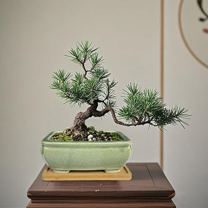 MUZHI 2pcs Green Ceramic Bonsai Planter Pots with Bamboo Tray 6.2 “ & 5.3”, Rectangular Glazed Bonsai & Succulent Cactus Starter Pot with Drainage Ice Crack Design