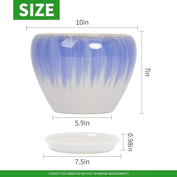 Deep Dream 10 Inch Plant Pot- Ceramic Planter Pot Round Plant Pots for Indoor Plants Outdoor Large Flower Pot with Drainage Holes & Trays, White&Blue
