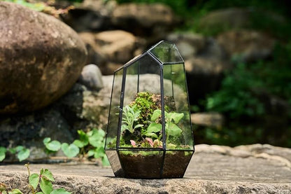 FISCRAT Metal Geometric Glass Planter | 7.9 * 6.9 * 9.8inch Rust-Proof Indoor/Outdoor Planter for Succulents, Air Plants | Space-Saving Vertical Design,a for Apartment Living and Plant Lovers