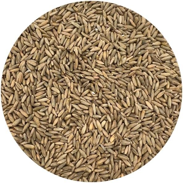 Old Cobblers Farm™ Wicked Tuff Turf Winter Rye for Lawn No Till Food Plot Seed Fall Cover Crop Mix (5 lbs | 10 lbs | 15 lbs | 20 lbs) (1lb)