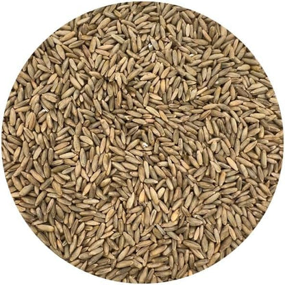 Old Cobblers Farm™ Wicked Tuff Turf Winter Rye for Lawn No Till Food Plot Seed Fall Cover Crop Mix (5 lbs | 10 lbs | 15 lbs | 20 lbs) (1lb)