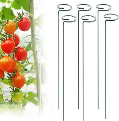6 PCS Tomato Twist Stake, 2025 Premium Tomato Stakes and Supports, Metal Plant Support Garden Stakes, Spiral Plant Support for Potted Plants Tomato, Climbing Plant Stakes Tower Plant Supports