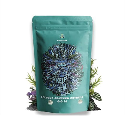 Kelp it Real Organic Seaweed Fertilizer for Plants - Makes 400 gallons - OMRI Listed - Vegan Certified - for Indoor Gardeners, Houseplants, Fruits, Vegetables, Hydroponics (1lb)