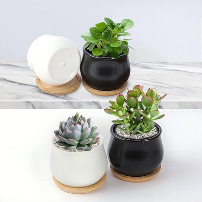 2 Pack Succulent Pots, 2.5 Inch Mini Ceramic Pots for Flower or Cactus Plants with Drainage Hole,Plants Not Included (White)