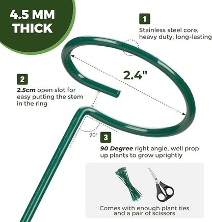 Kingsyard 16 Inch Plant Support Stake - 20 Pack, 4.5mm Thick All Metal Garden Plant Support Stakes for Outdoor Plants Single Stem Flowers Dahlia Lily Rose Peony Hydrangea Tomatoes Sunflower Gladiolus