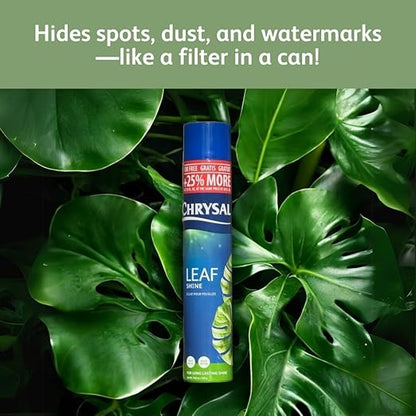 Chrysal LeafShine Spray for Indoor Plants (25oz 12 Pack)