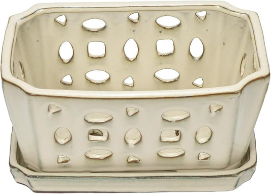 W&W Orchid Pot with Holes and Saucer for Repotting, Cream White, 9.7 Inch