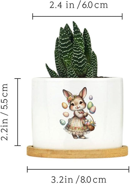 DreamAutumn Easter Bunny Ceramic Planters Ceramic Pots with Saucers Orchid Pots for Plants Succulents Pots Office Desk Garden Balconys New Home Decor,Gifts for Mom Mother Grandmother