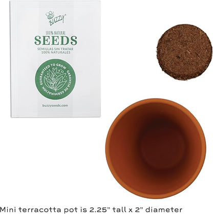 BUZZY Seeds 12-Pack Poppy Grow Kit – Mini Terracotta Pots with Poppy Seeds and Growing Medium – Bulk Gardening Gifts, Wedding Favors, Classroom Activities, and Party Favor Flower Kits