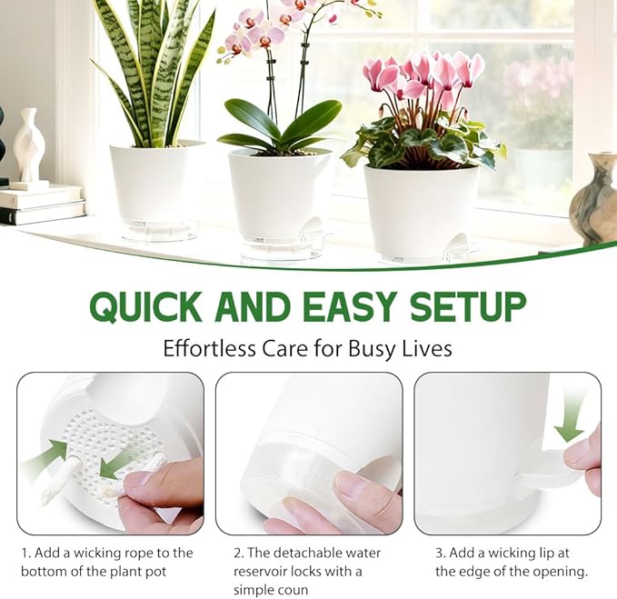 Self Watering Pots for Plants, 2026 New Flower Plant Pots with Drainage Holes, Wicking and Clear Reservoirs for Succulent, Aloe, Cacti and Others - 6 Pack (White, 6")