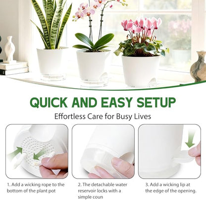 Self Watering Pots for Plants, 2026 New Flower Plant Pots with Drainage Holes, Wicking and Clear Reservoirs for Succulent, Aloe, Cacti and Others - 6 Pack (White, 6")