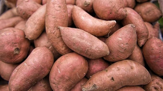 Generic 50pcs Sweet Potato Vegetable Seeds Redish Brown