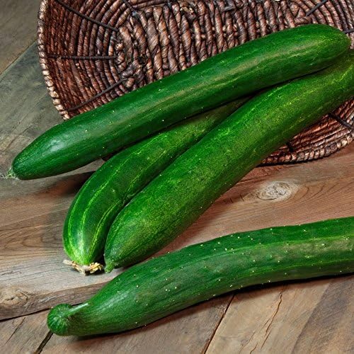 Park Seed Variety of Cucumber Seeds, Planting Cucumbers, Vegetable Seeds, Easy to Grow, Non-GMO, Perfect for Harvesting, Tasty Green Hybrid, Pack of 30