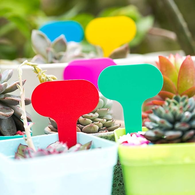 200pcs Plant Marker Flower Label Plant Tags Garden Label Gardening Inserted Card