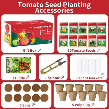 10 Pack Tomato Seeds for Planting - Heirloom Tomato Seeds for Indoor Outdoor Gardening - Natural Soil Disc, Pulp Cup, Plant Markers & Tools - Non GMO Vegetable Seed Set for Starter