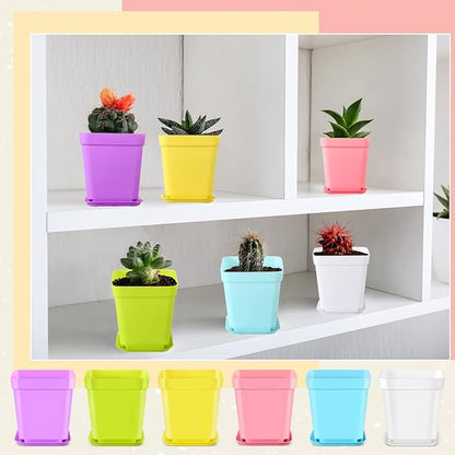 Zubebe 240 Pack Plastic Seedling Pots 3 Inch Flower Pots Small Square Plastic Plant Pots Succulent Planter Nursery Pots with Saucers for Outdoor Indoor Starting Seedlings Garden Room (Colorful)