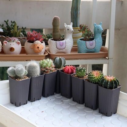 BangQiao 180 Pack 1.95 Inch Tiny Gray Plastic Square Nursery and Seedling Pot, Mini Deep Transplant Seed Starter Planter with Drain Hole for Germination, Herb, Succulent