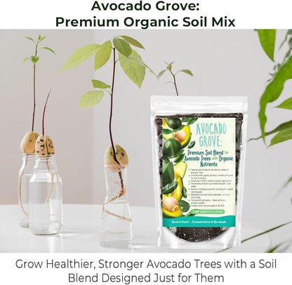 Avocado Tree Soil – Premium Organic Potting Mix for Avocado Trees | Tailored pH & Organic Nutrients | Fast-Draining & Moisture-Retaining | Indoor & Outdoor Use (1 Quart)