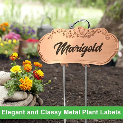 30 PacksTCYPUHL Metal Plant Labels, Tall Outdoor Garden Markers for Flowers, Fruits and Vegetables, 304 Stainless Steel Weatherproof Signs (4" x 1.9", Silver, Black and Gold)