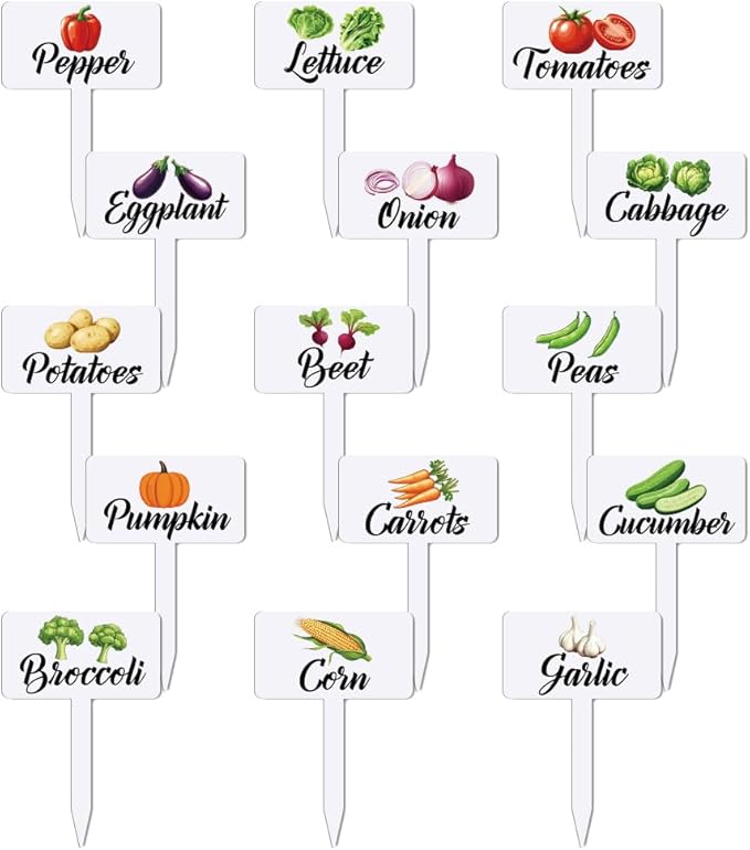 arricraft 15 Pcs Acrylic Vegetables Plant Labels, Onion Eggplant Cabbage Plant Markers with Handwriting Name Clear Garden Tags Sign for Seed Potted Farm Supplies Garden Gift 4x2.67inch(10.2x6.8cm)