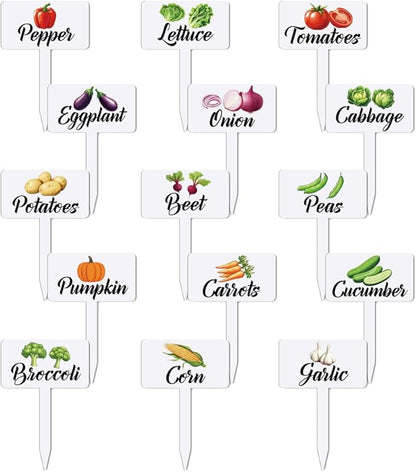 arricraft 15 Pcs Acrylic Vegetables Plant Labels, Onion Eggplant Cabbage Plant Markers with Handwriting Name Clear Garden Tags Sign for Seed Potted Farm Supplies Garden Gift 4x2.67inch(10.2x6.8cm)