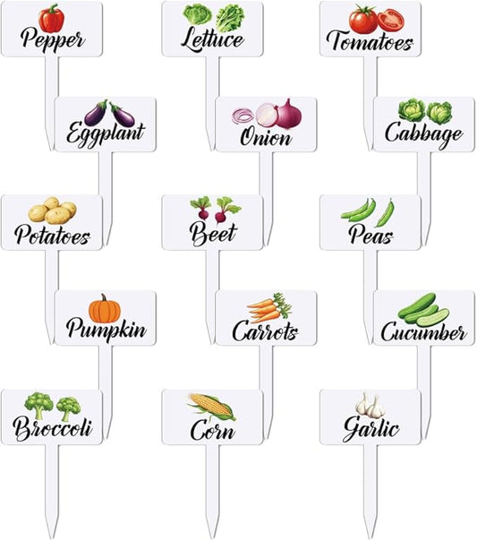 arricraft 15 Pcs Acrylic Vegetables Plant Labels, Onion Eggplant Cabbage Plant Markers with Handwriting Name Clear Garden Tags Sign for Seed Potted Farm Supplies Garden Gift 4x2.67inch(10.2x6.8cm)