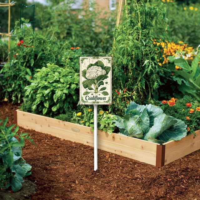 Uptell Vintage Vegetable Signs for Garden with Stake Cauliflower Yard Sign Vegetable Garden Label Stakes Plant Markers for Outdoor Plants Waterproof 8x12inch
