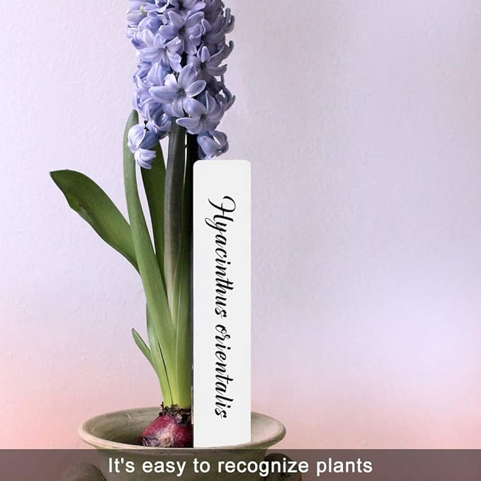 SumDirect Plastic Plant Labels, 100pcs 6 Inch White Waterproof Plant Name Tags for Nursery Garden Labels Markers Seedlings Plant Tags Tree Stake Tags