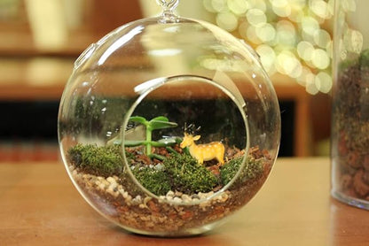 WGV Hanging Terrarium Globe, Width 7", Height 8", DIY Air Succulent Planter, Clear Glass Vase Orb with Flat Bottom, Candle Holder Outdoor Garden Decor, 6 Pieces
