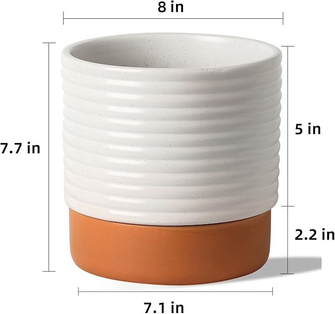 Self Watering Plant Pot : 8 Inch Ceramic Planter with Drainage Hole & Water Storage Plus - Flowerpot for Indoor & Outdoor Plants (Cream White & Red-Brown)