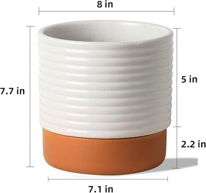 Self Watering Plant Pot : 8 Inch Ceramic Planter with Drainage Hole & Water Storage Plus - Flowerpot for Indoor & Outdoor Plants (Cream White & Red-Brown)