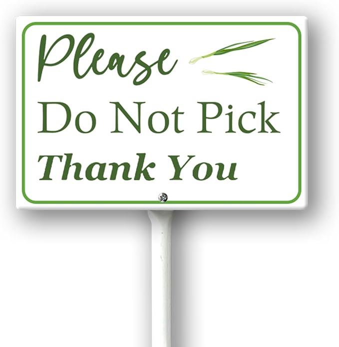 Boylee (8X12) IN Please Do Not Pick Green Onion Thank You Yard Sign With Stake Rustproof Aluminum Fruit Vegetable Signs Stand for Home Orchard Garden Outdoor Decoration