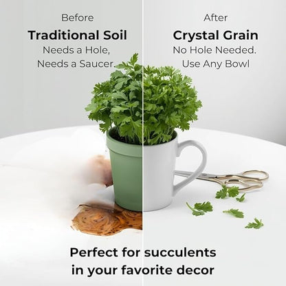 Crystal Grain Cactus & Succulent Soil Mix, Coarse Grain for Maximum Drainage, 100% Inorganic & Odorless, Visible Watering Indicator, Patented Japanese Tech,2L