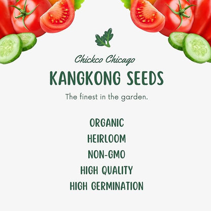 600+ Premium Kangkong Seeds - Ong Choy - Rau Muong - Kong Xin CAI Seeds | High 97% Germination | Non-GMO | Vegetable Seeds for Planting | Made in USA