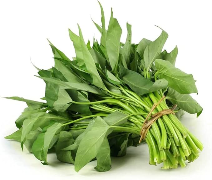 Kong Xin CAI Seeds (250 Seeds) - Green Leaf Vegetable Seeds for Planting Garden - Non-GMO Choy Ong Seeds - Ships from Iowa, USA