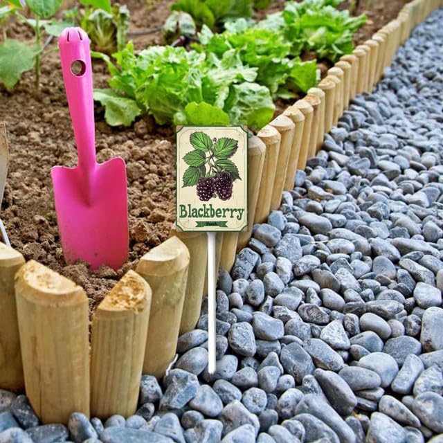 Uptell Vintage Aluminum BlackBerry Fruit Signs Yard Sign with Stake for Garden Fruit Garden Label Stakes Plant Markers for Outdoor Plants Waterproof 7x8.8 inch
