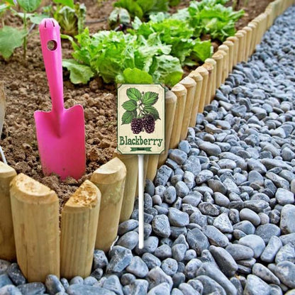 Uptell Vintage Aluminum BlackBerry Fruit Signs Yard Sign with Stake for Garden Fruit Garden Label Stakes Plant Markers for Outdoor Plants Waterproof 8x12 inch