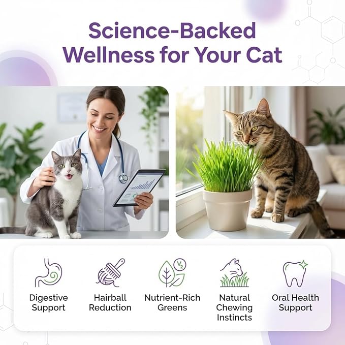 NatureZ Edge Premium Cat Grass Seeds for Indoor Cats, Non GMO - 1/2 lb Oat, Wheat, Barley & Rye Grass for Indoor Cats, Cat Plant, Kitty Lawn, Pet Grass, Hierba para Gatos, Made in USA