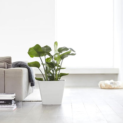 Ecopots Rotterdam Durable Modern Square Indoor/Outdoor Recycled-Based Composite Flower Planter, Pure White, 15.75"