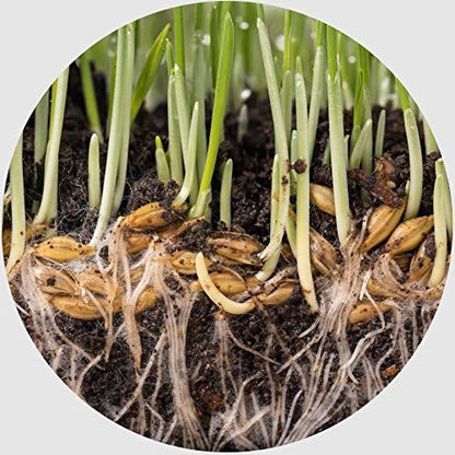 3 Pounds Water Storing Crystals Super Absorbent Polymer for Plants