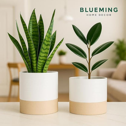 Ceramic Self Watering Plant Pots – 6 Inch White Planter with Drainage Hole & Water Storage for Succulents & Modern Indoor House Plants (White & Beige, 6" Wide)