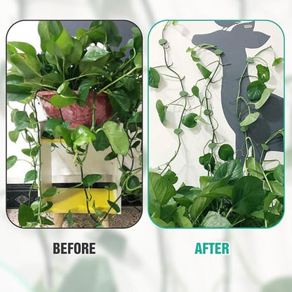 Plant Climbing Wall Fixture Clips, 2026 New Plant Clips for Climbing Plants, Green Leaf Shaped Self-Adhesive Plant Wall Clips for Vine Support Traction and Cable Organization (10, Green)