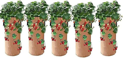 Ulalaza 5PCS Potato Grow Bags with Flap Plant Grow Bags Fabric Multi Ribbon Potato Bag Tomato Vegetable Growth Non-Woven Felt Planting Bag Transparent