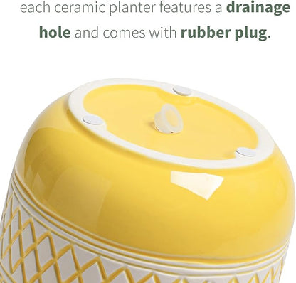 Decorative Ceramic Flower Pots Set of 2 – 6 & 4.7 Inch Indoor Plant Pots, Boho Decorative Pots for Plants, Orchid & Succulent Planters with Drainage