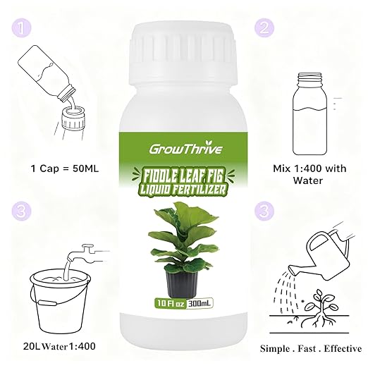 10oz Fiddle Leaf Fig Plant Food for All Fig and Other Ficus Trees, Liquid Houseplant Fertilizer for Ficus Plants, Ideal Fiddle Leaf Fertilizer, Ficus Plant Food for Improves Leaves and Branches