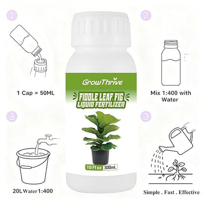 10oz Fiddle Leaf Fig Plant Food for All Fig and Other Ficus Trees, Liquid Houseplant Fertilizer for Ficus Plants, Ideal Fiddle Leaf Fertilizer, Ficus Plant Food for Improves Leaves and Branches